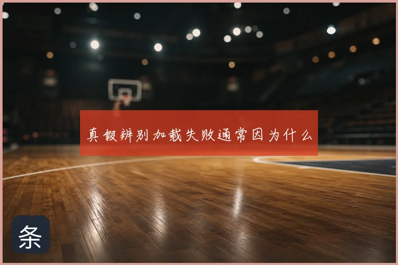 真假辨别加载失败通常因为什么