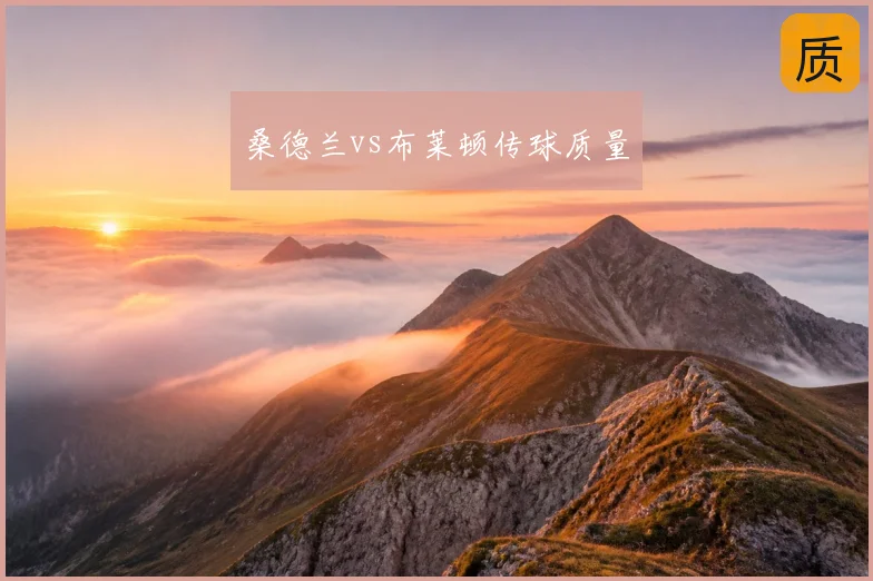 桑德兰vs布莱顿传球质量